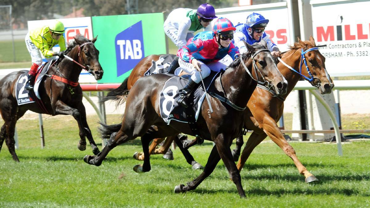 Horsham and District Racing Club is pushing for the Melbourne Cup holiday to be reallocated.