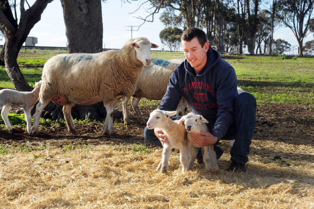 Damien Hawker with two new lambs born on his Kaniva property. Picture: PAUL CARRACHER