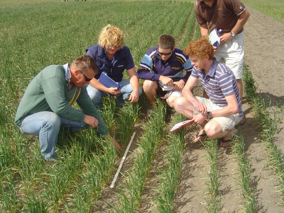 CROPS: Longerenong College students visiting the Longerenong Rotation Number One trial in 2006. The trail has been running since 1916. Picture: CONTRIBUTED
