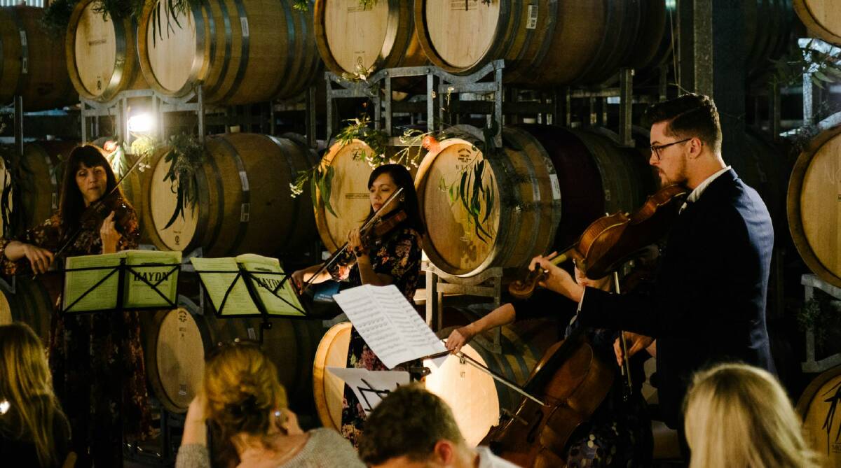 MUSIC IN THE VINES: Musicians from Melbourne Symphony Orchestra will perform at the Mount Langi Ghiran vineyard on Monday, October 31 at noon. Picture: CONTRIBUTED
