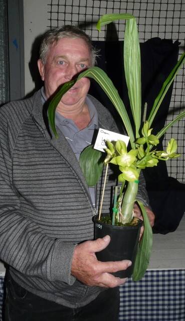 INTERESTING TIPS: Brad Scott with the Stawell Orchid Society's plant of the night. Members enjoyed a walk-around at the May meeting. Picture: CONTRIBUTED