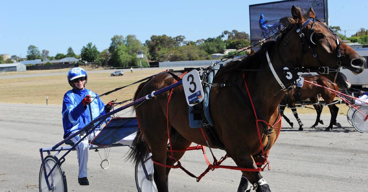 STAR: Kerryn Manning will receive both the trainer and driver of the year awards at the Horsham harness club's annual awards night. Picture: CONTRIBUTED