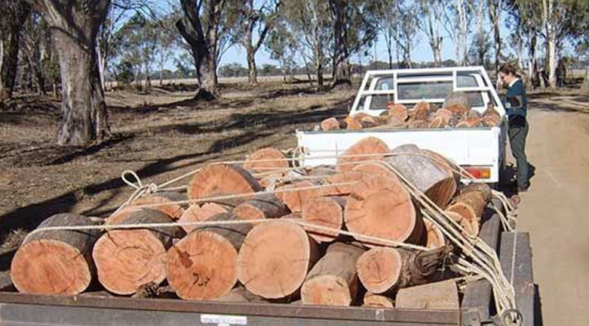 OPERATION AXE: The Department of Environment, Land, Water and Planning is cracking down on people selling illegally collected firewood. Picture: DELWP