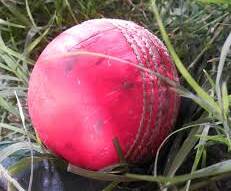 Pink cricket balls are being introduced for day/night matches. 