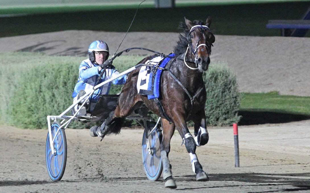 BRAVE: Deltasun, with Gavin Lang in the sulky, scored a narrow group one victory at Tabcorp Park, Melton, last Saturday night. 