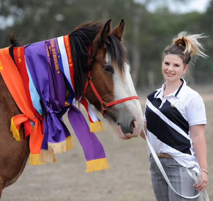 SEASON OF SUCCESS: Armstrong horsewoman Ashlee Blight with her award-winning Clydesdale, Talbena Jimidean. Talbena Jimidean is also known as Hamish. Picture: SAMANTHA CAMARRI 