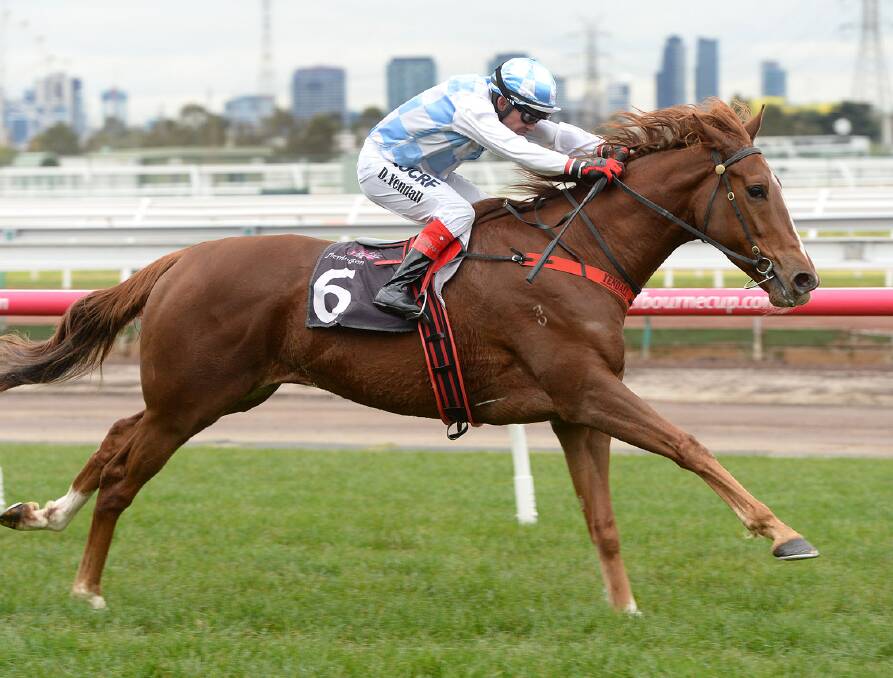 SUCCESS: Majestic Duke, with jockey Dean Yendall on board, hits the line strongly to win the David Bourke Provincial Plate at Flemington last Saturday. Picture: Slickpix