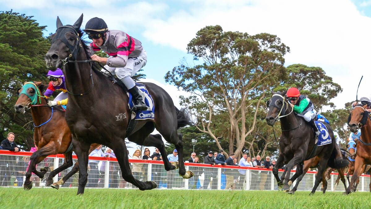 Leading: Terry and Karina O'Sullivan trained Patch Adams takes out the Australian Lamb Company Group Colac cup on Sunday. Picture: Racing Photos