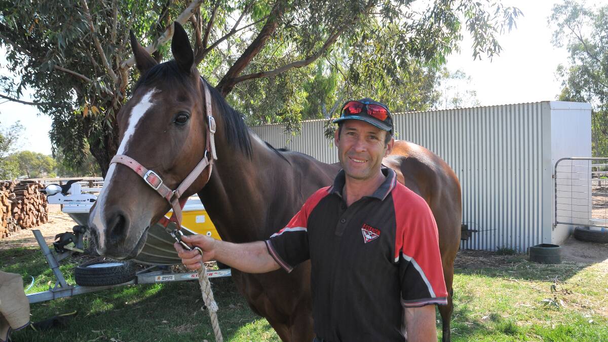 Ready to go: Stawell trainer Paul Jones prepares for his gelding Mujadale, to run in the $300,000 Ballarat Cup. Picture: Grace Bibby