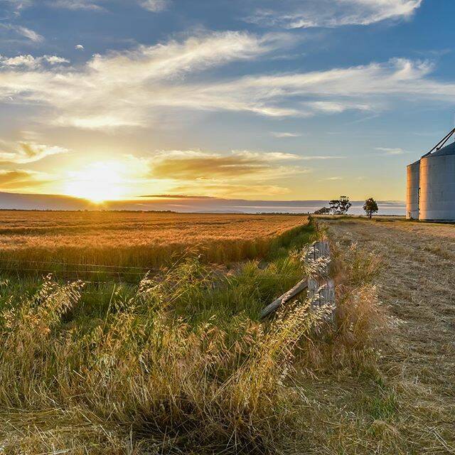 PIC OF THE DAY: Tag us in your photos of the Wimmera on Instagram @wimmeramailtimes and use the hashtag #wakeupWimmera or email cass.dalgleish@fairfaxmedia.com.au to have your pic included! Photo: @55chris, via Instagram - Harvest has well and truly started in the Wimmera. This was taken last Thursday. 