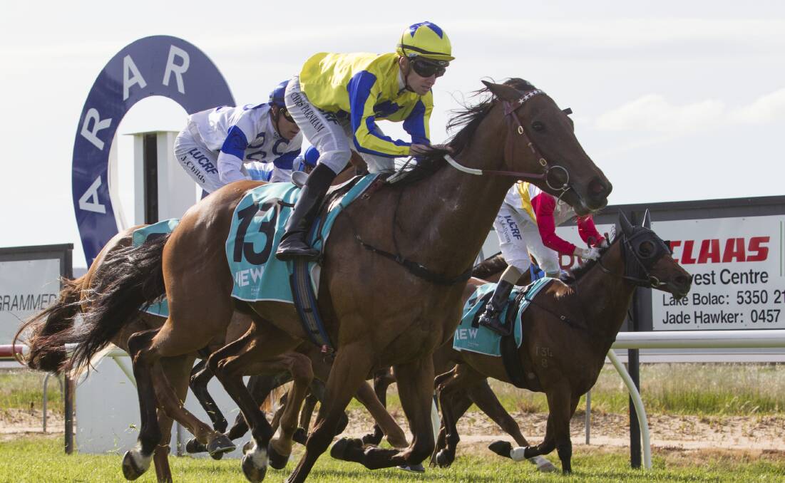 FUN: Gallops returns to Ararat on Tuesday. Picture: Peter Pickering