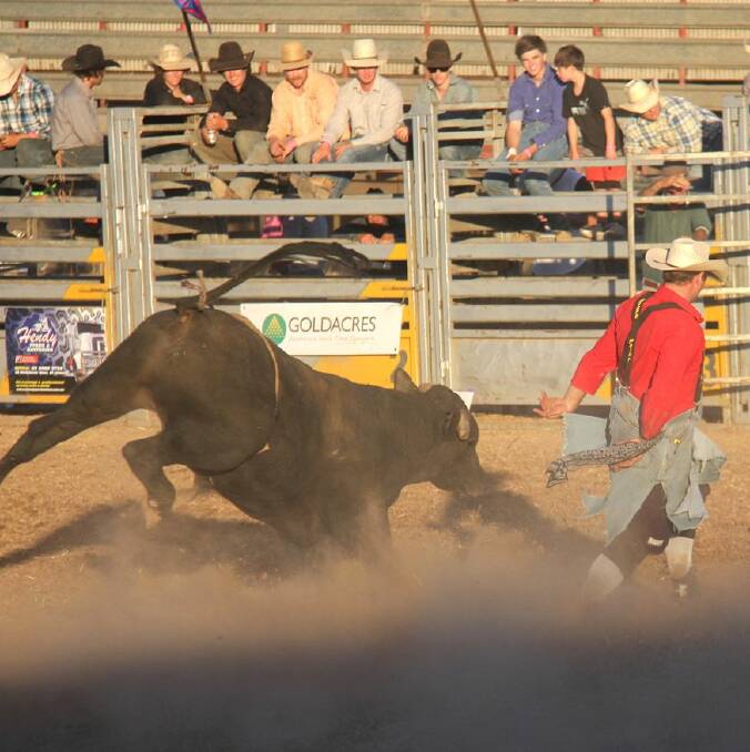 ROUGH RIDERS: There will be action aplenty at this weekend's St Arnaud Rodeo.