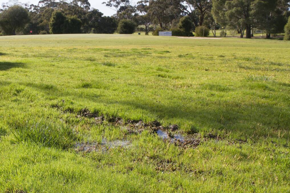 Mud and puddles have prevented golf from being played at the Stawell Golf Club. Picture: Peter Pickering. 