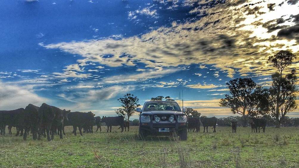 ON THE LAND: @kazzahoopics shared this photo on Instagram using the tag #WimmeraFarmer. 
