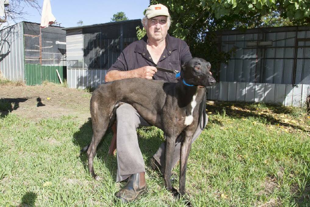 VICTORIOUS: David Gehan, the proud owner of greyhound Full of Baloney which won at the Bendigo track. Picture: Peter Pickering