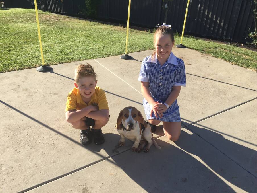 NEW FAMILY ADDITION: Liam and Emerson O'Gorman cannot stop smiling since the arrival of their new pet, Bailey, which was found wandering aimlessly around a Halls Gap lookout two weeks ago. 