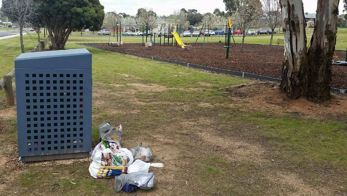 Litter dumped at Taylors Gully Park. Picture: Anthony Piovesan