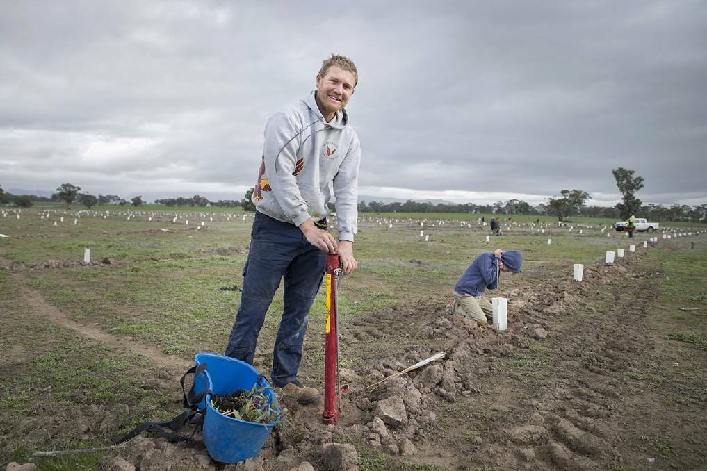 Plantout volunteer Tim Inkster gets ready to plant a seedling at a 2016 Project Platypus event. The team is planning more events to improve land management. 