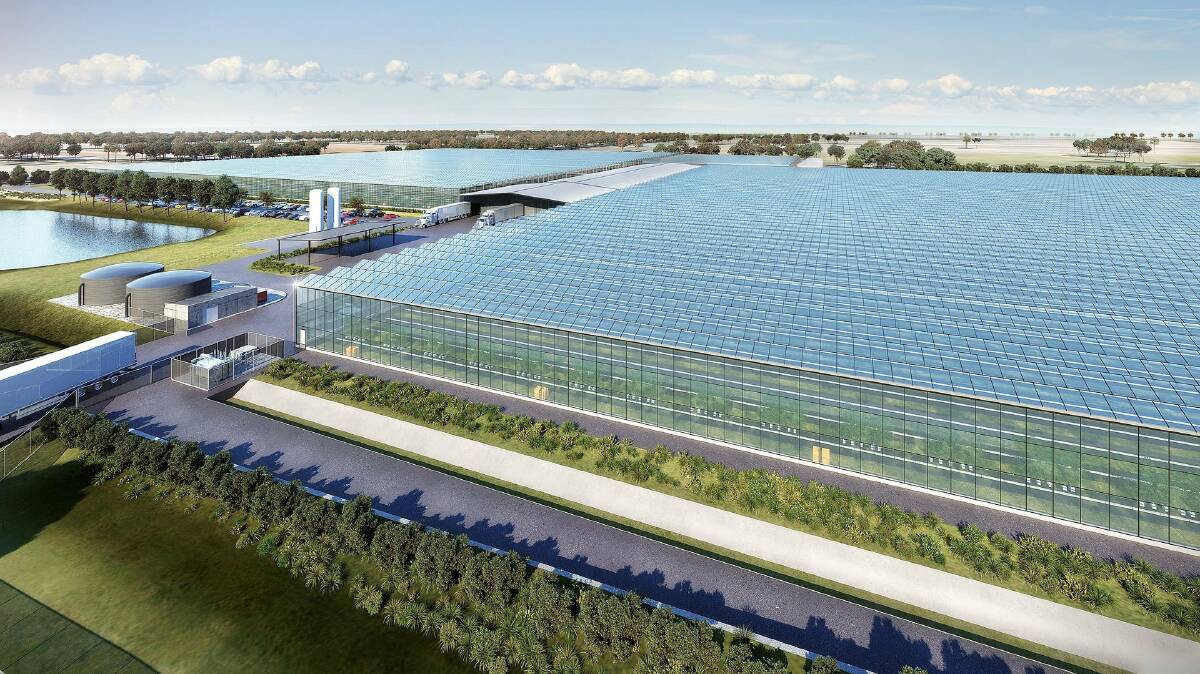 An artist's impression of Stawell's Nectar Farms project, which will see excess renewable electricity transmitted to AusNet.