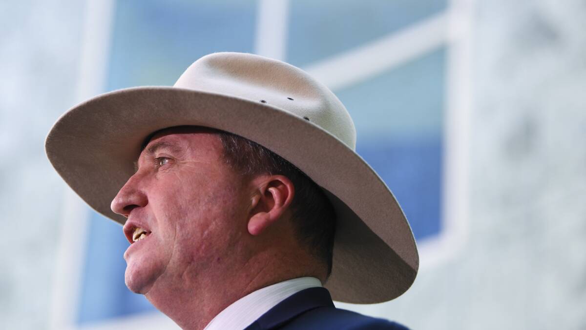 Deputy Prime Minister Barnaby Joyce speaks to the media during a press conference at Parliament House on Friday. Photo: AAP/Lukas Coch.