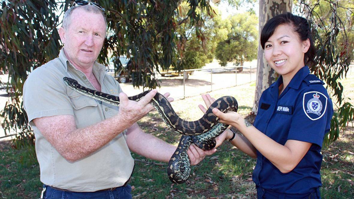  Halls Gap Zoo owner Greg Culell and Department of Environment and Primary Industries compliance officer, Phuong Tran, with one of the carpet pythons.