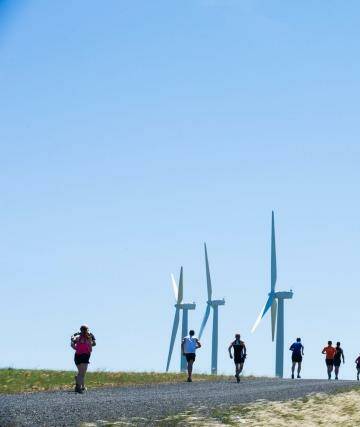  Running on empty: the renewable energy debate has stalled. Photo: Rohan Thomson
