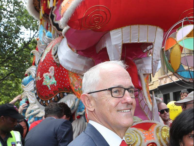 Malcolm Turnbull says he won't be giving gun control advice when he meets with Donald Trump.