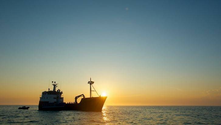 The research will take their vessel from Perth to Broome in a bid to lean more about sharks of WA's coast Photo: OCEARCH