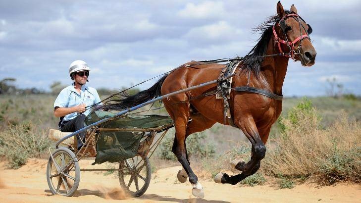 Harness racing identity Shayne Cramp will plead guilty to illegal betting charges. Photo: Sunraysia Daily
