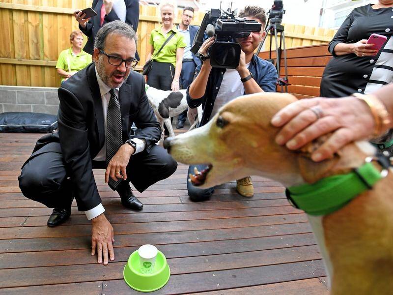 Victoria's Racing Minister Martin Pakula is encouraging coffee drinkers to adopt a greyhound.