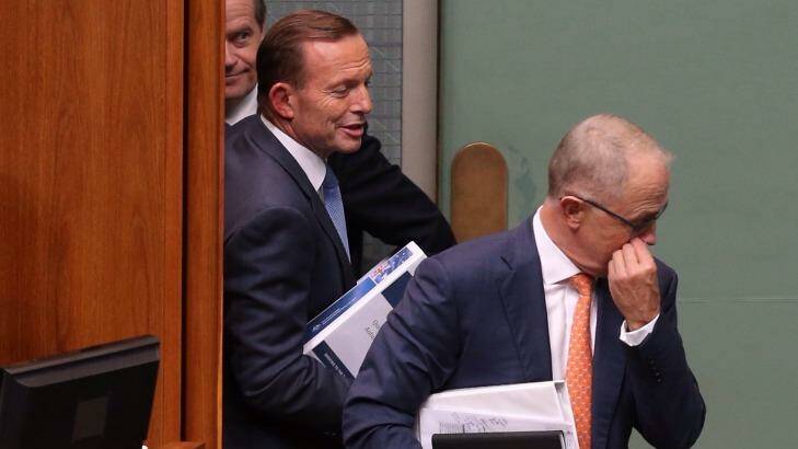 Prime Minister Tony Abbott and Communications Minister Malcolm Turnbull in Parliament this week. Photo: Andrew Meares