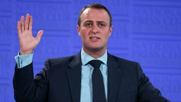 Human Rights Commissioner Tim Wilson: ''This decision is a reminder that our commitment to free speech needs to be consistent, reflected in law and not just rhetoric.'' Photo: Alex Ellinghausen