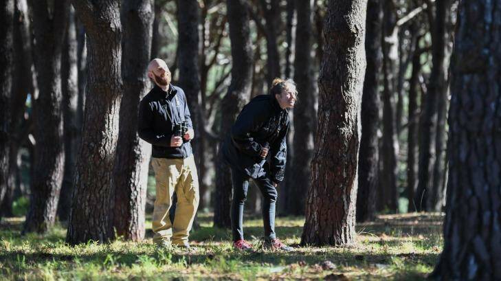 Wildlife ecologist John Martin and researcher Jessica Rooke look for yellow-tailed black cockatoos in 
Sydney's Centennial Park. Photo: Peter Rae