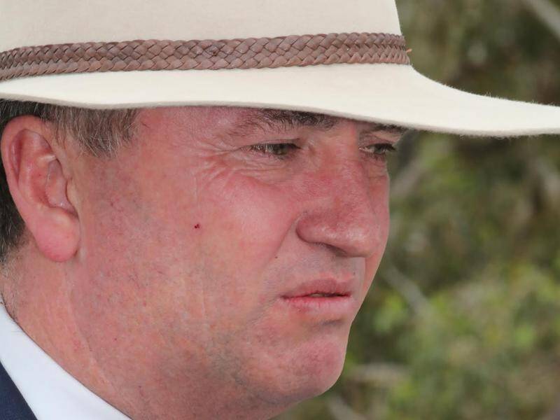 A Nationals MP says whoever replaces Barnaby Joyce must try to bring the party back together.