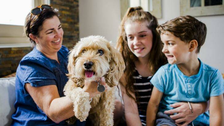 Roxy the cavoodle, whose habit of eating her family's underwear led to trouble last year, with Rachel Aitchison and her children, Ellen 14, and Isaac 4. Photo: Jamila Toderas