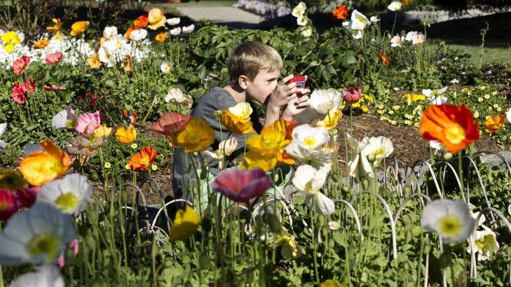 German tourist, Vincet enjoying the sunshine in the Royal Botanic Gardens. Photo: Louie Douvis