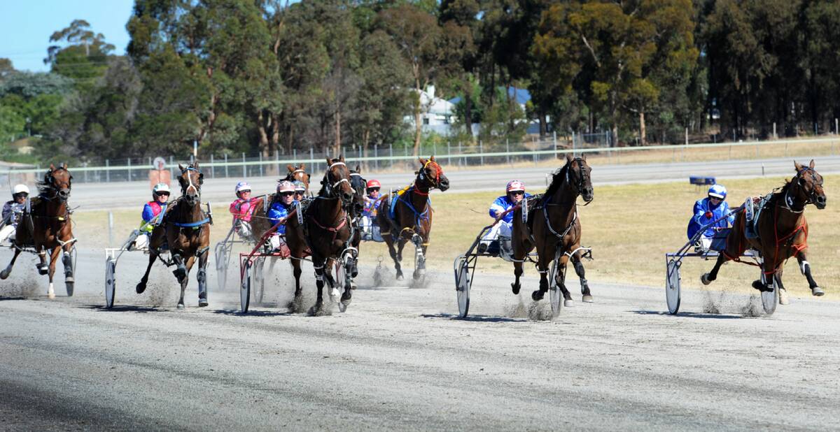 GET READY FOR ACTION: The Stawell Pacing Cup gets underway this Sunday. There will be plenty of entertainment for all. 