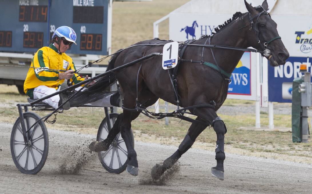 TRACK ACTION: Smythes Creek pacer Yankee Rockstar took more than two seconds off the track record when he took out the Stawell Pacing Cup in 2015 with Gavin Lang in the driver's seat. 