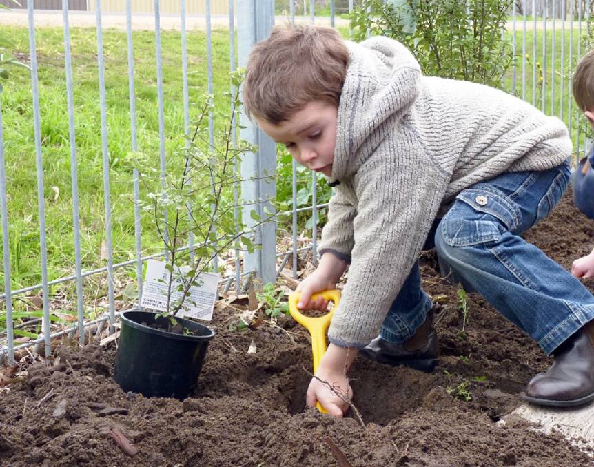 Hayden is busy digging in the garden at the Taylors Gully Childcare Centre in Stawell.
The centre is set to offer four year old kindergarten sessions in 2015.