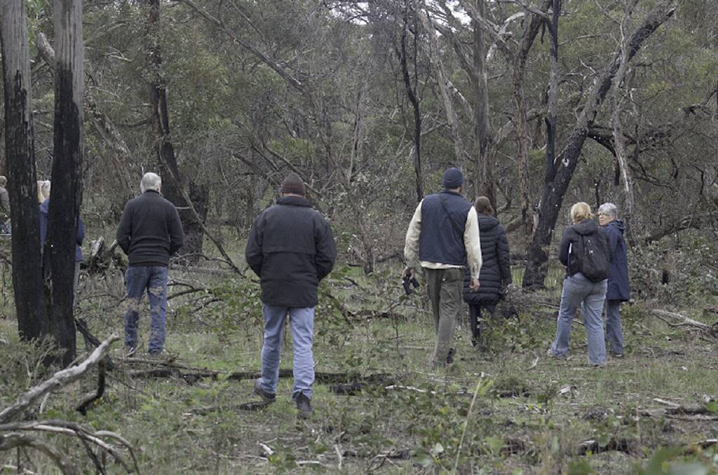 Members of the Grampians Bird Observers Club sighted more than 35 different species of birds on their latest adventure