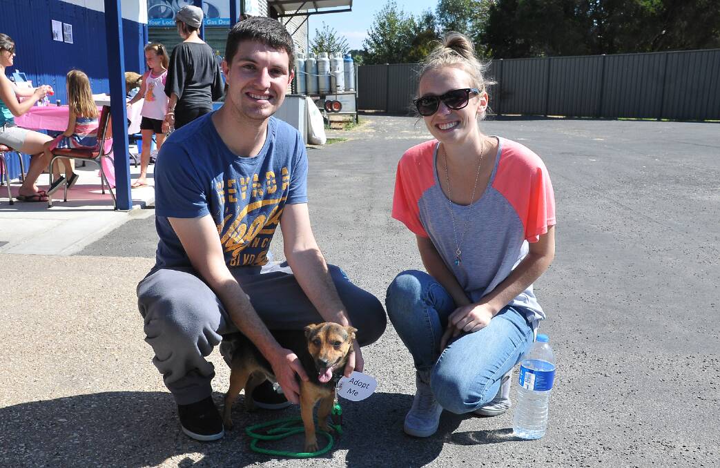 Paul McNamara (left) and Adoptable's Ashleigh Dark with little Billy, adopted out on the day. Picture: MARK McMILLAN.