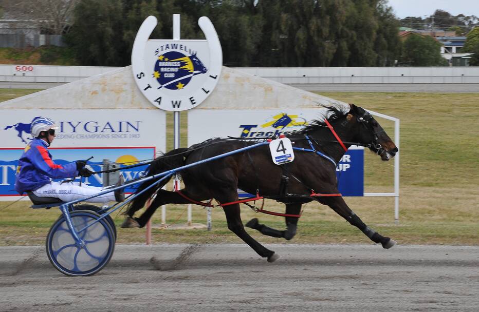 Darryl Douglas steers Hellovanite to victory in the Perrys Footwear Claiming Pace at Stawell. Picture: BEN KIMBER.