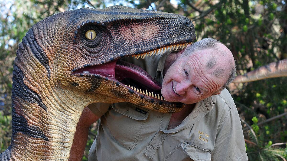 Halls Gap Zoo owner Greg Culell was testing out the new dinosaur display at the Zoo. The display proved popular over the holiday period during which time the Zoo reported an increase in visitor numbers. Picture: KERRI KINGSTON.
