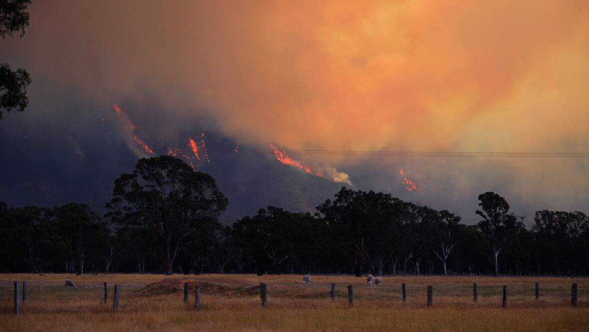 Flames engulf sections of the Grampians National Park, during the 2014 fire emergency. Picture: MARK McMILLAN