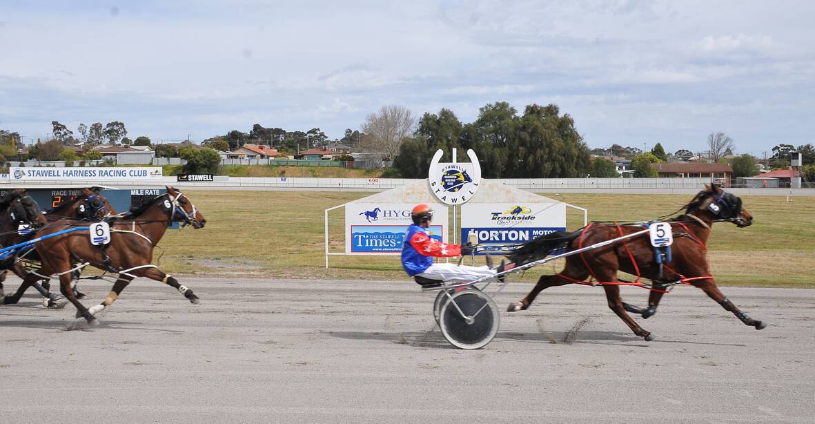 Rainbow based pacer Lombo Pace Maker surprised his connections with a maiden win at Stawell's Harness Racing Club's meeting at Laidlaw Park last Monday. Picture: BEN KIMBER
