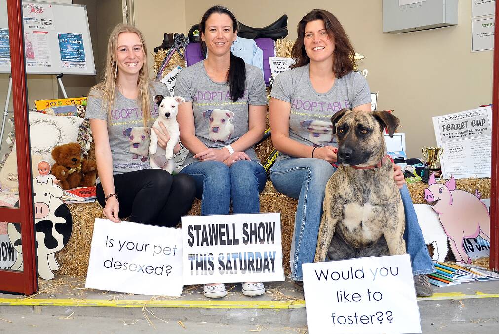 Ashleigh Dark, Leanne Hillier and Lynley Hoiles from Adoptable Stawell, are pictured with two of the dogs that have recently been adopted. Adoptable will have a stand at tomorrow’s Stawell Show. Picture: KERRI KINGSTON.