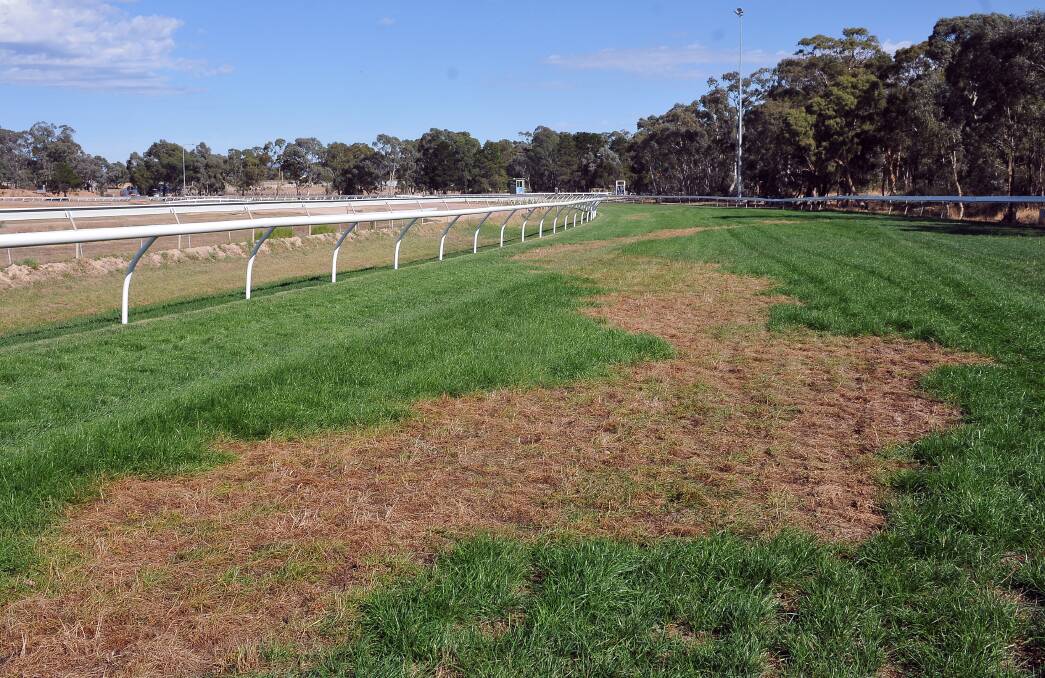 The Stawell Gold Cup meeting on Easter Sunday has been abandoned due to an act of suspected vandalism at the course. Picture: KERRI KINGSTON.