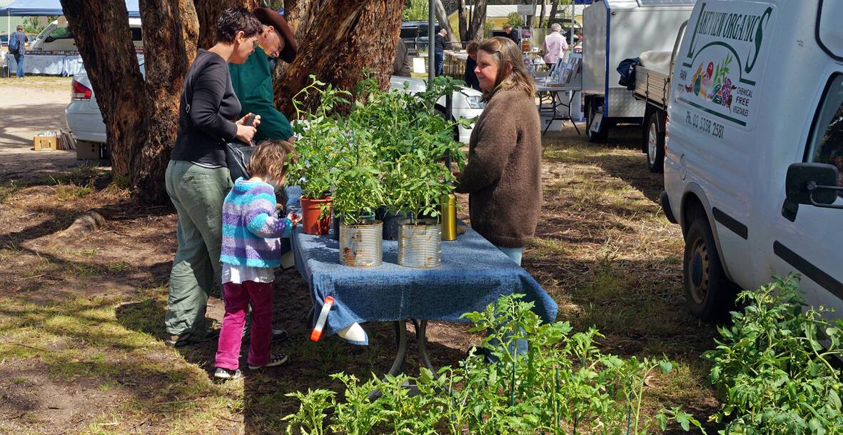 Glenda Gliese will be at the Pomonal Market this Sunday with her fresh, home-grown vegetables and numerous varieties of tomato plants.