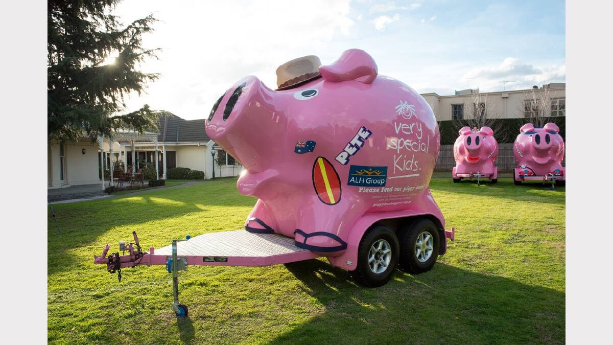 A giant pink pig once again appeared outside the Commonwealth Bank branch in Stawell raising funds for Very Special Kids.