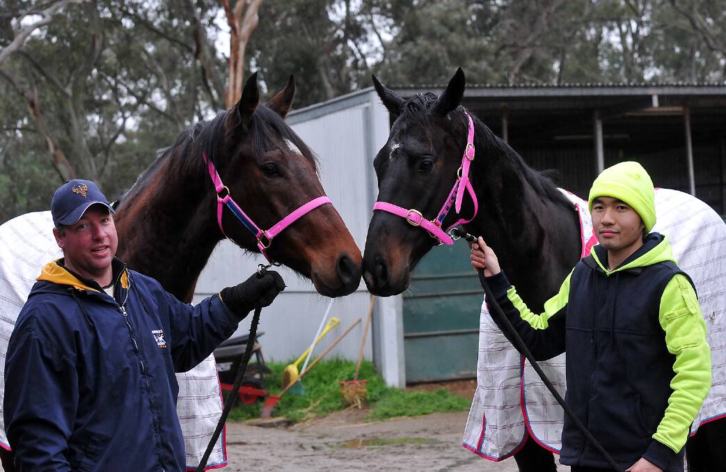 Representatives from the Terry and Karina O’Sullivan stables in Stawell, Jade Kennedy (left) and Wilson Tam, hold Warracknabeal winners Poppy’s Boy and Already Taken. Picture: KERRI KINGSTON.